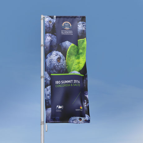 IBO Summit Concordia