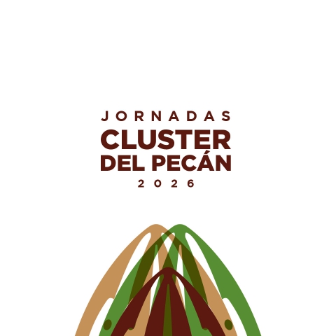 Stereotypo inicia el Rediseño Integral de la Marca para las Jornadas del Cluster del Pecán 2026
